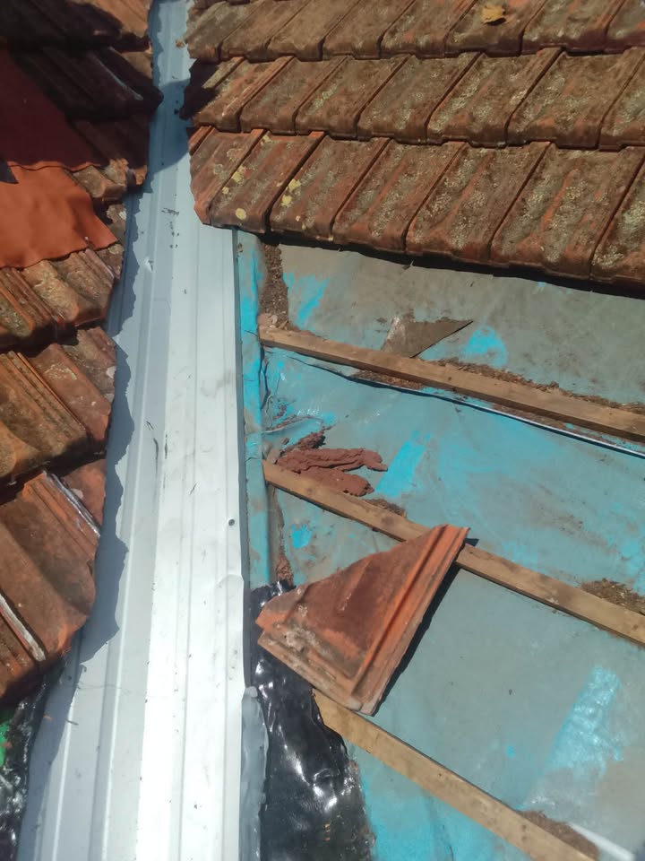 Roofing Professional at Work